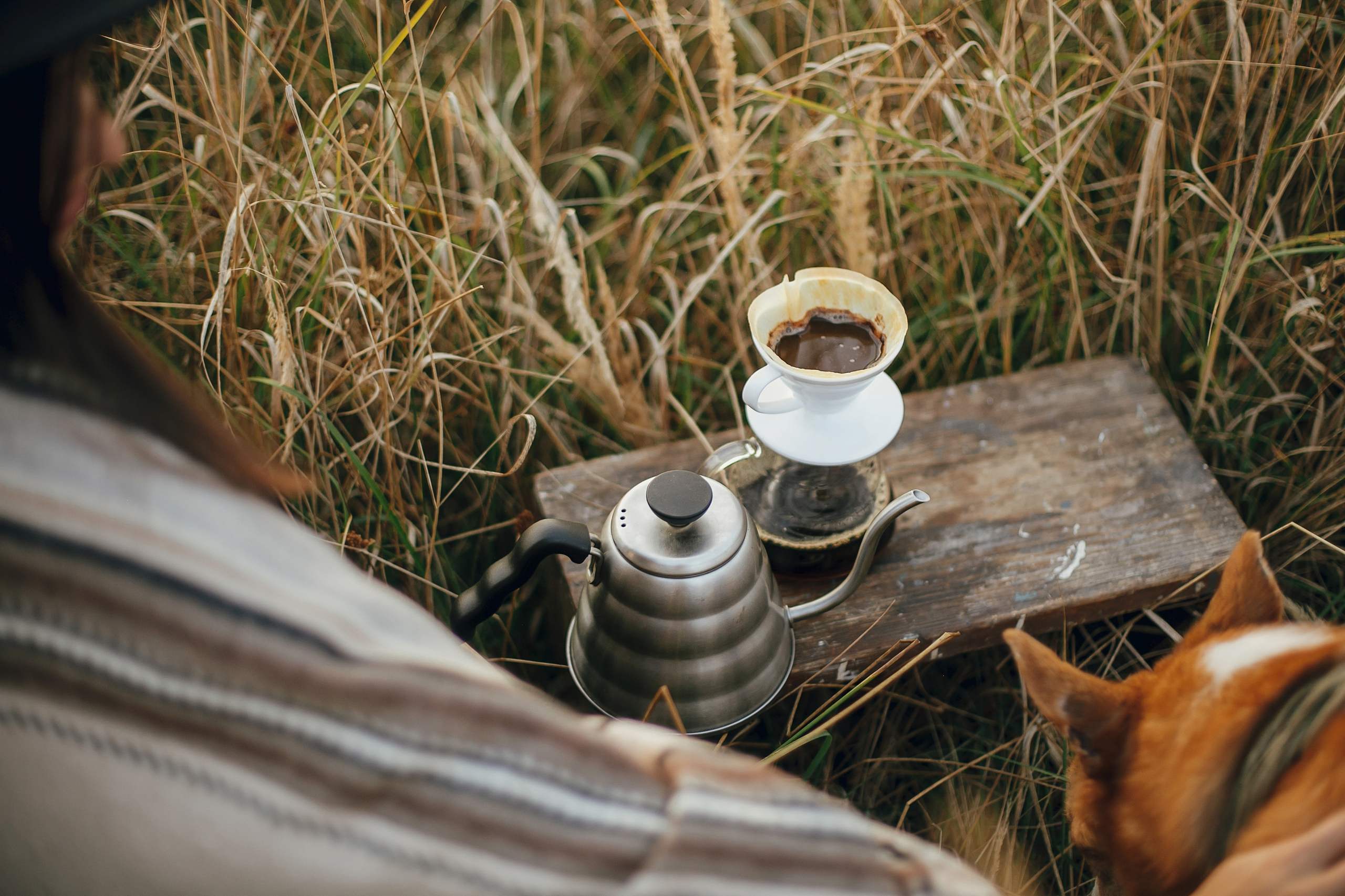 How Barista Skills Help Modern Coffee Culture